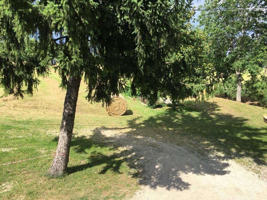B&B Il Fienile Calcinato Экстерьер фото
